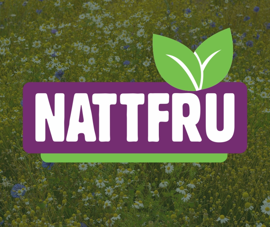 Nattfru