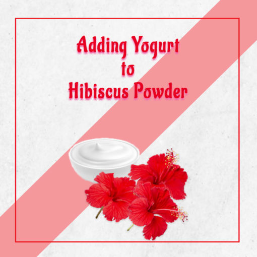 HOW TO USE HIBISCUS POWDER FOR HAIR Nattfru